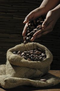 Cacao ceremonie 